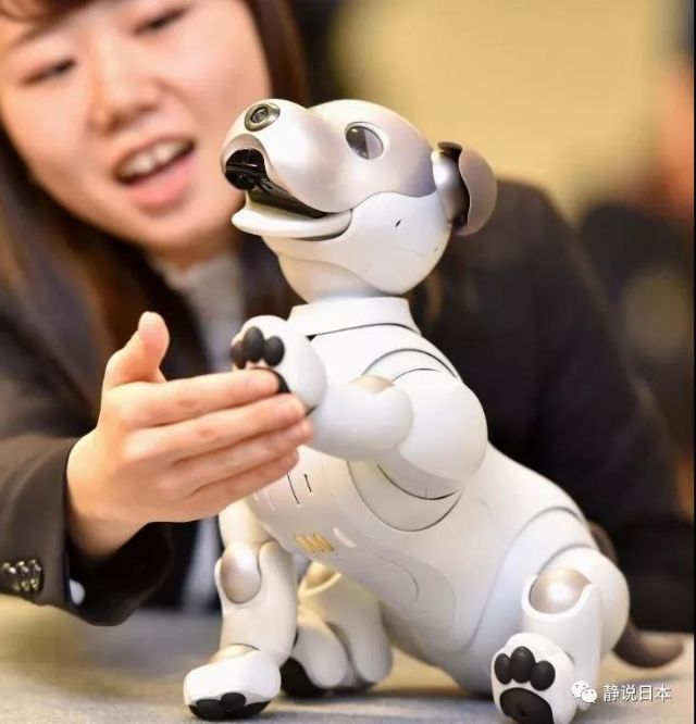 0227_204233_825.jpg 204-4.jpg